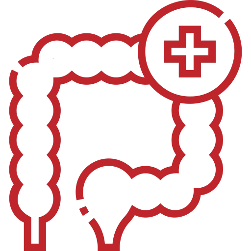 Icon eines Darms in rot